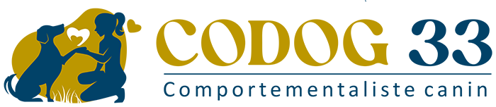 Codog 33 à Langon et Bordeaux - Logo